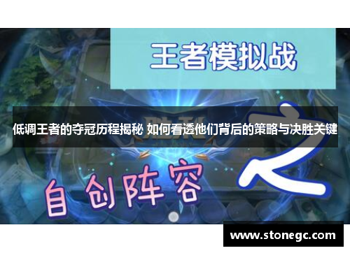 低调王者的夺冠历程揭秘 如何看透他们背后的策略与决胜关键