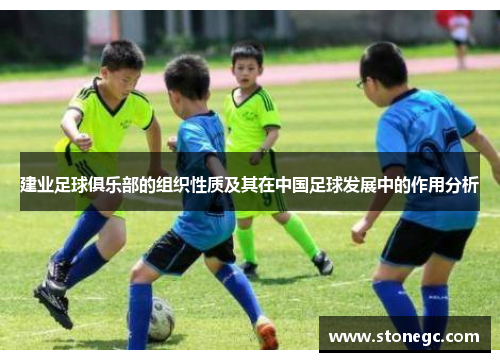 建业足球俱乐部的组织性质及其在中国足球发展中的作用分析